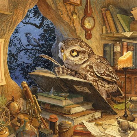 Chris Dunn Illustration A Wise Old Owl Lived In An Oak Animal