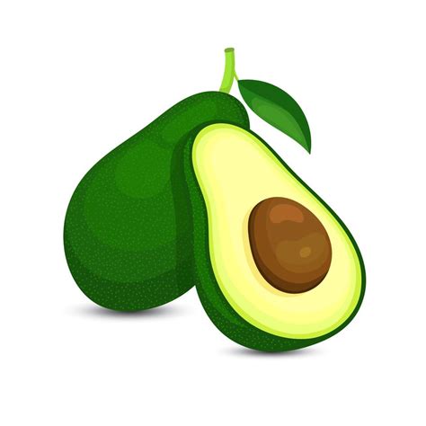 Dibujo De Aguacate Png Vectores Psd E Clipart Para Descarga Gratuita