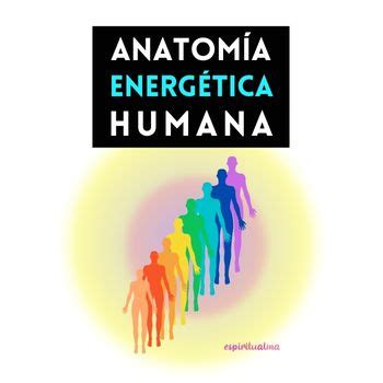 Qu Son Los Cuerpos Sutiles Campo Energ Tico Humano Esp Ritualma