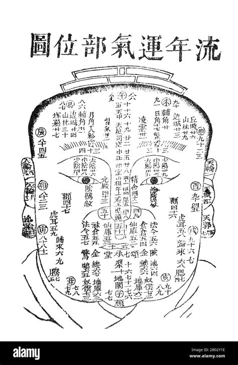 Face Reading In Chinese Medicine
