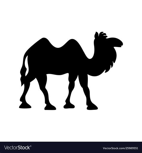 Cartoon bactrian camel Royalty Free Vector Image