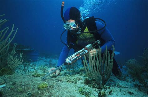 Restoring a Reef | A biologist from the Florida Keys Nationa… | Flickr