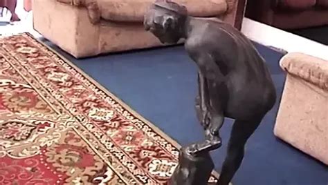 Monella La Cacciatrice Perversa Episode HD Porn F XHamster