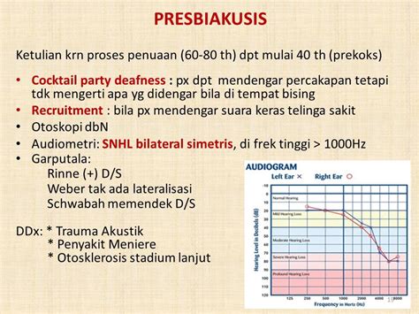 Review Telinga Fakultas Kedokteran Universitas Wijaya Kusuma Surabaya