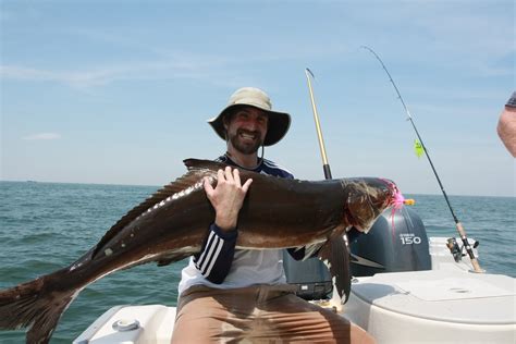 Black Sea Bass Fishing Virginia Beach