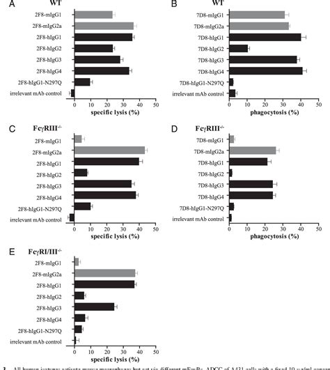 Figure From Crosstalk Between Human Igg Isotypes And Murine Effector