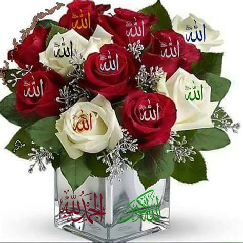 Pin by zahra on Islam | Rose flower wallpaper, Funeral floral, Allah ...