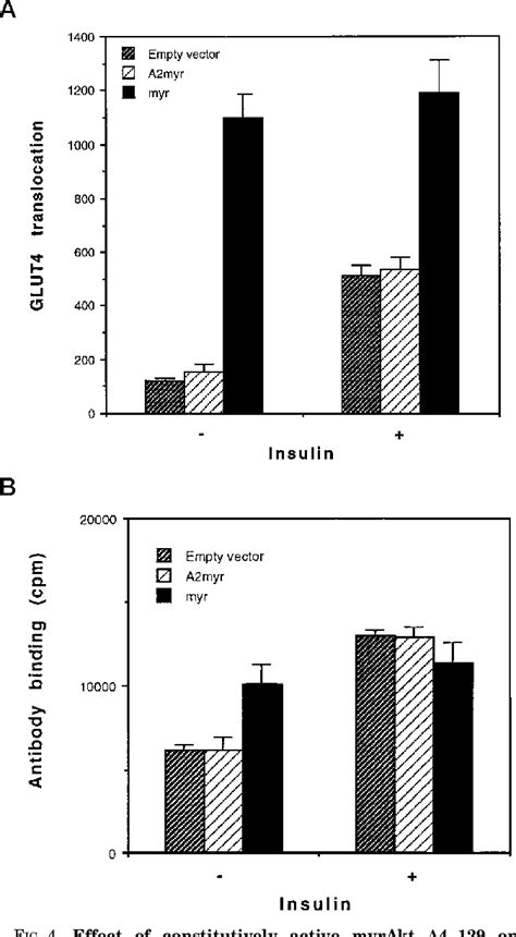 Figure 4 From Expression Of A Constitutively Active Akt Serthr Kinase