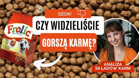 Najgorsza KARMA DLA PSA jaką do tej pory widziałam Analiza składów