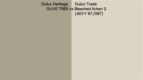 Dulux Heritage Olive Tree Vs Dulux Trade Bleached Lichen 3 40yy 67087 Side By Side Comparison