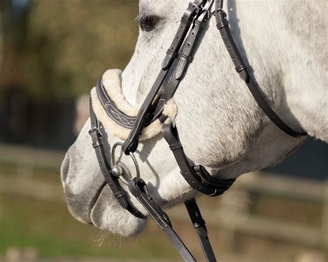 Leather Horse Bridles & Reins | EveryDay Equestrian