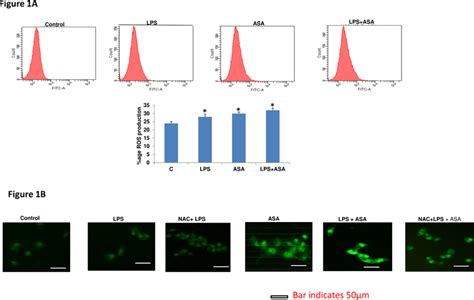 Effects Of Lps And Asa On Ros Production Hepg2 Cells Were Cultured To