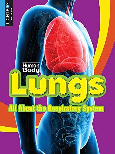 Lungs: All about the Respiratory System (Human Body) by Simon Rose ...