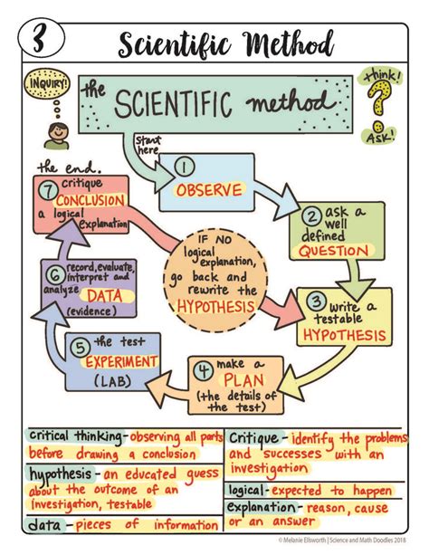 Free Scientific Method Doodle Sheet Easy To Use Notes Ppt Included