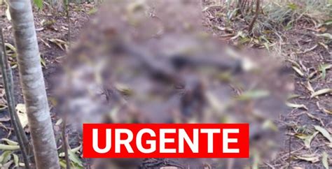 Ossada humana é encontrada em matagal na zona Sudeste de Teresina