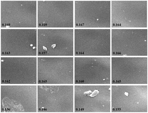 The homogeneity is attached in the lower-left corner of each sub-image ...