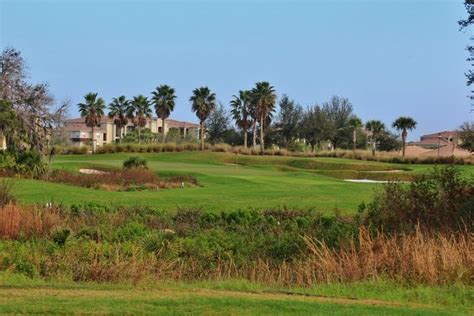 serenoa golf club sarasota florida - Struck Gold Newsletter Photographs