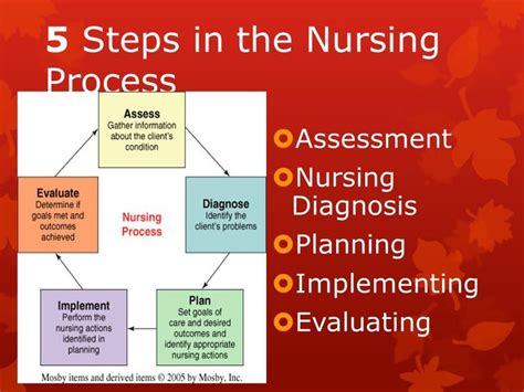 The Assessment Step Of The Nursing Process Involves Edith Has Jimenez