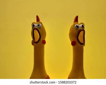 Screaming Chicken Toy Whit Yellow Background Stock Photo 1588201072 ...