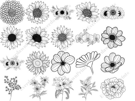 101 Flower Svg Hand Drawn Svg Flower Svg Black And White Flower