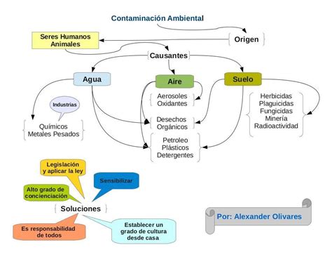 Elabora Un Organizador Visual De La Lectura Causas Y Efectos En La