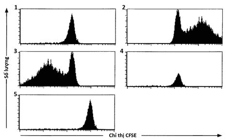 cfse hosted  imgbb imgbb