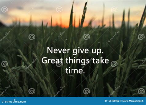 Inspirational Motivational Quote Never Give Up Great Things Take Time