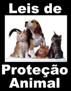 Leis De Proteção Aos Animais - PELA CAUSA ANIMAL: Leis de proteção aos animais