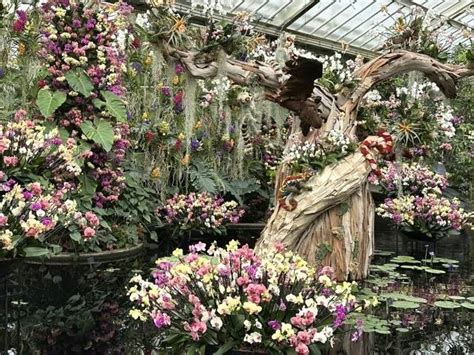 Kew Gardens Orchid Festival