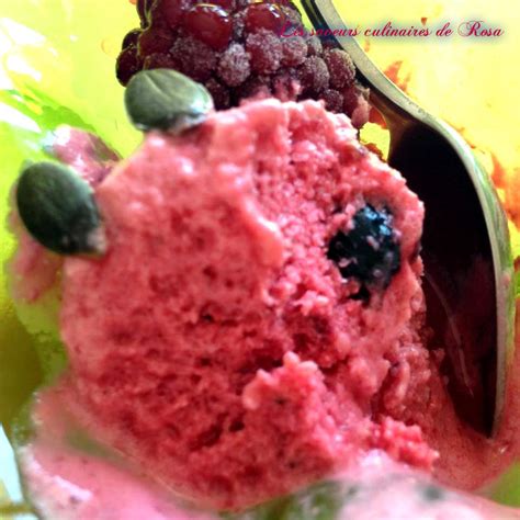 Frozen Yogurt Yaourt Glac Aux Fruits Rouges Les Saveurs Culinaires