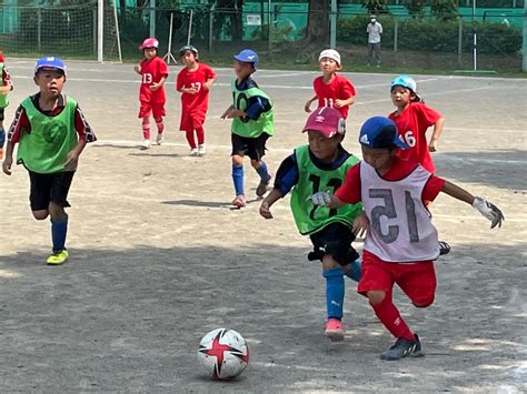 38〜40期2年生〜年長trm〜リトルウイングさん〜 八王子七小サッカークラブ（八王子七小sc） 東京都八王子市の少年サッカークラブ