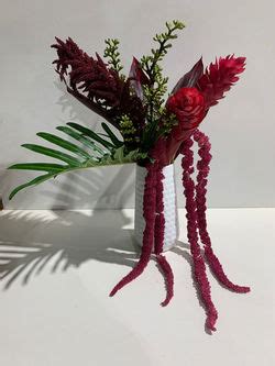 Amaranthus Magic Flowers