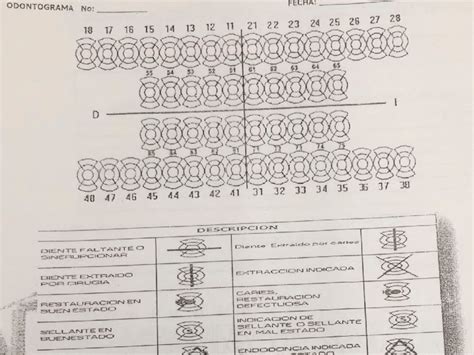 Odontogram Chart