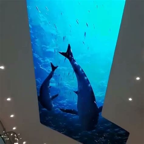 Aquarium Di Tentrem Mall Semarang Youtube