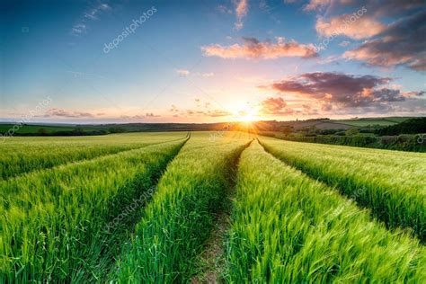 Cornish Sunset Over Farmland — Stock Photo © Flotsom 86372148