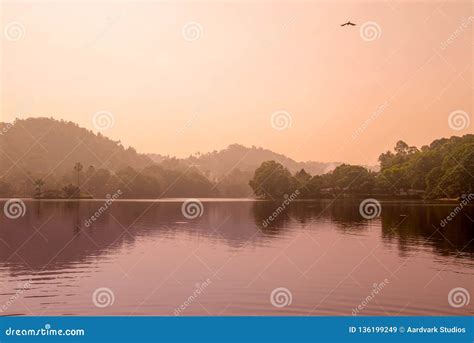 Sri Lanka Kandy Temple Lake Stock Image - Image of historical, buddha: 136199249