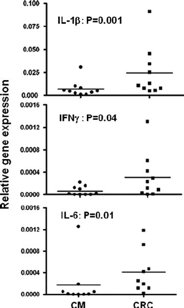 Gene Expression Of The Pro Inflammatory Cytokines Il 1 β Ifn γ And