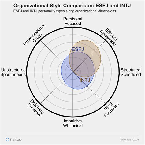 Esfj And Intj Compatibility Relationships Friendships And Partnerships