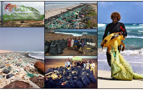 Protect The Biodiversity Of Cabo Verde From Marine Debris Department