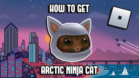 Promocode How To Get The Arctic Ninja Cat Roblox Youtube