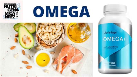 Lifevantage Omega Combina ácidos Grasos Omega 3 Epa Y Dha ácidos