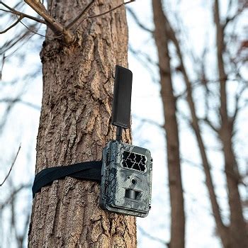 Best No Glow No Flash Infrared Game Trail Camera Reviews