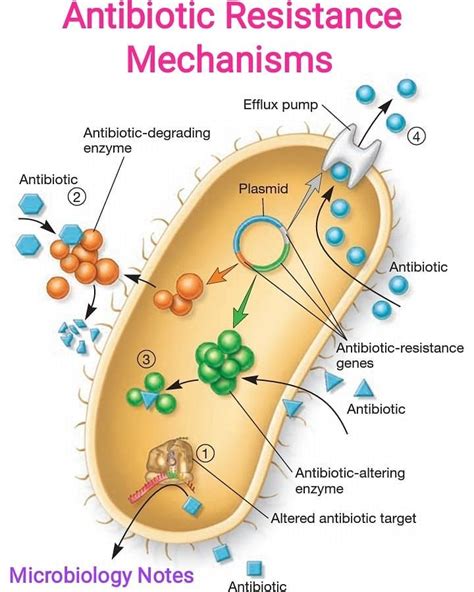 Microbiology Notes On Instagram Antibiotic Resistance Mechanisms