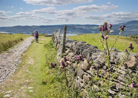 Lake District Farm Experience Audley Travel Us