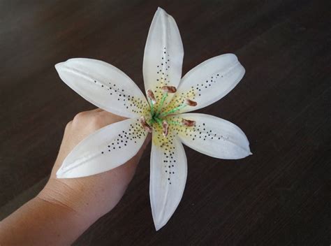 Paper Stargazer Lily Flower: Collection Of The Best Handmade DIY ...