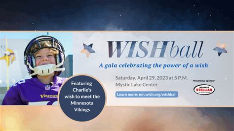 Wish Ball Linkedin