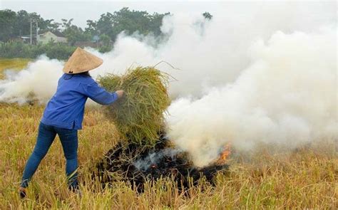 Đốt rơm rạ: Lãng phí tài nguyên, ô nhiễm môi trường