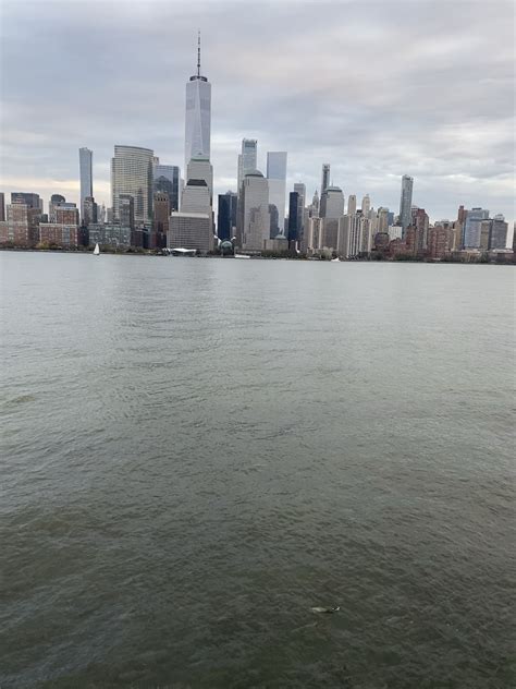 Hudson River spawn : r/thalassophobia