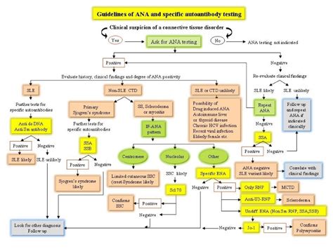 Antinuclear Antibodies And Their Detection Methods In Diagnosis Of