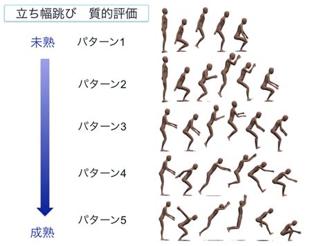 スポーツでのmuscle Synergyの捉え方 Movement Design